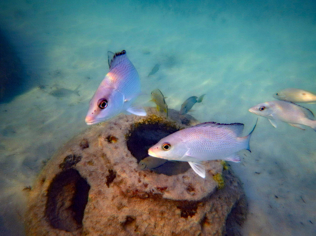 Paradise Cove Beach Resort主图