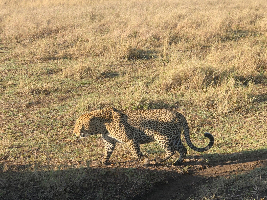 Livets Resa-阿鲁沙必去景点