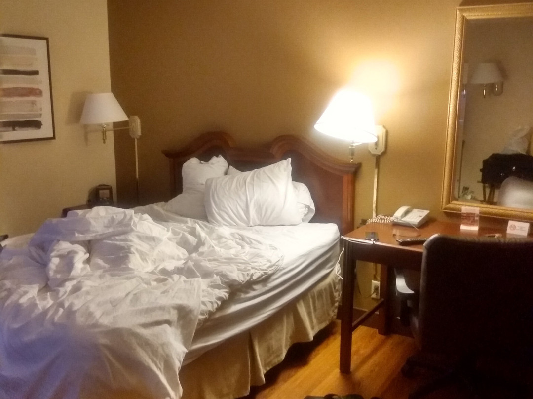 Auburn Place Hotel & Suites主图