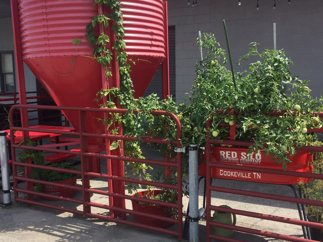 Red Silo Brewing Company景点图片
