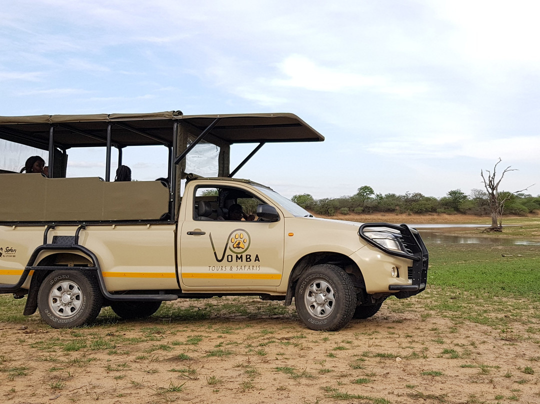 Vomba Tours & Safaris景点图片