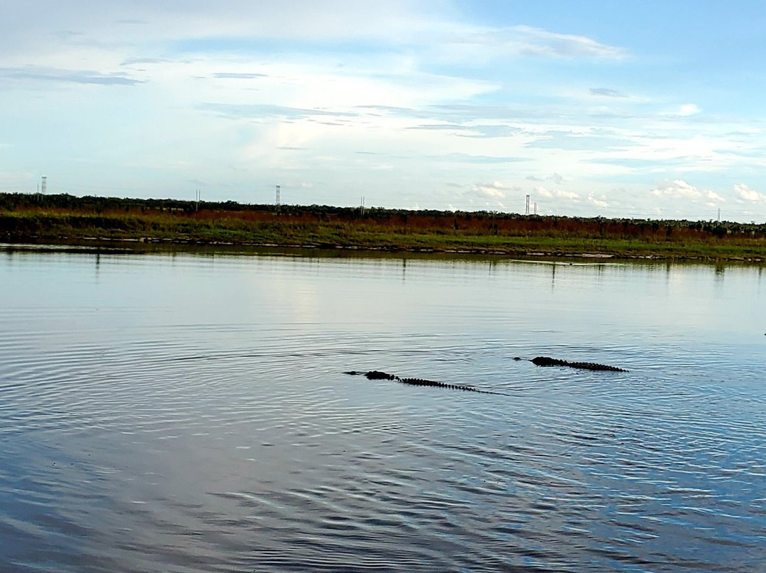 Capt Duke's Airboat Rides景点图片