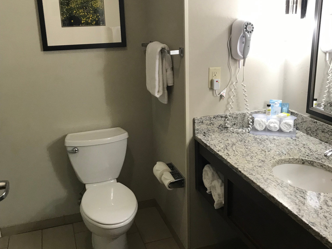 贝尔格莱德智选假日套房酒店主图