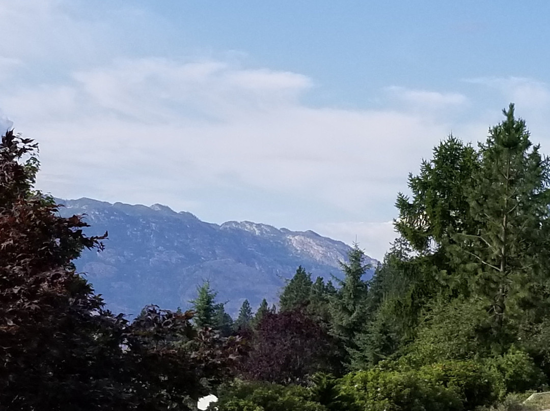 A View to Remember B&B主图