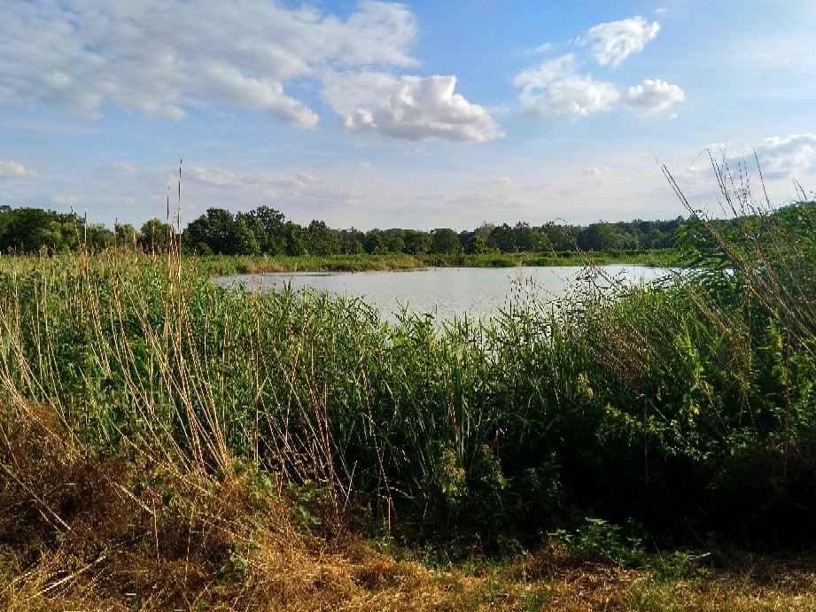 Dolina Bystrzycy Landscape Park景点图片