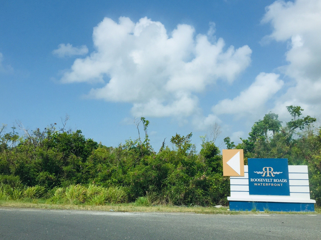 Vieques Ferry Terminal-Ceiba必去景点