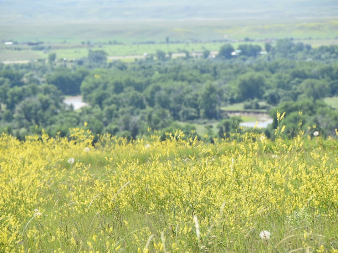 Apsaalooke Tours-Crow Agency必去景点