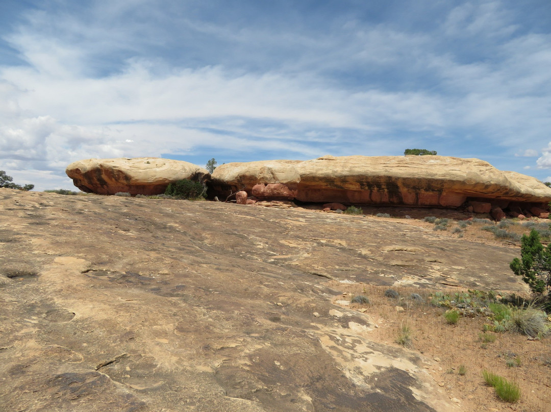 Pothole Point Trail-峡谷地国家公园必去景点