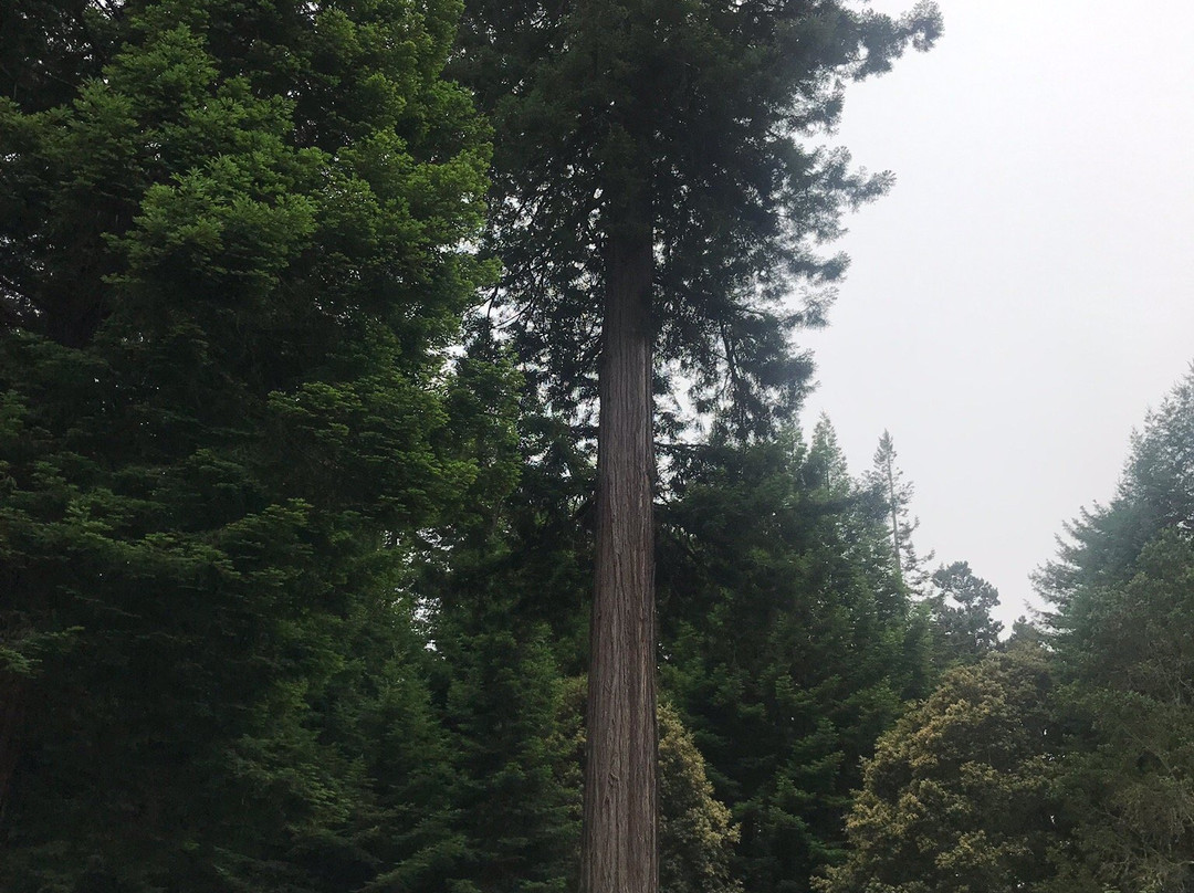 Mendocino Farmhouse主图