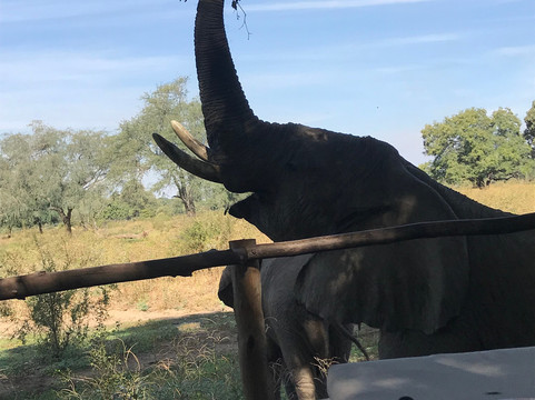 夫拉特多格斯露营旅馆主图