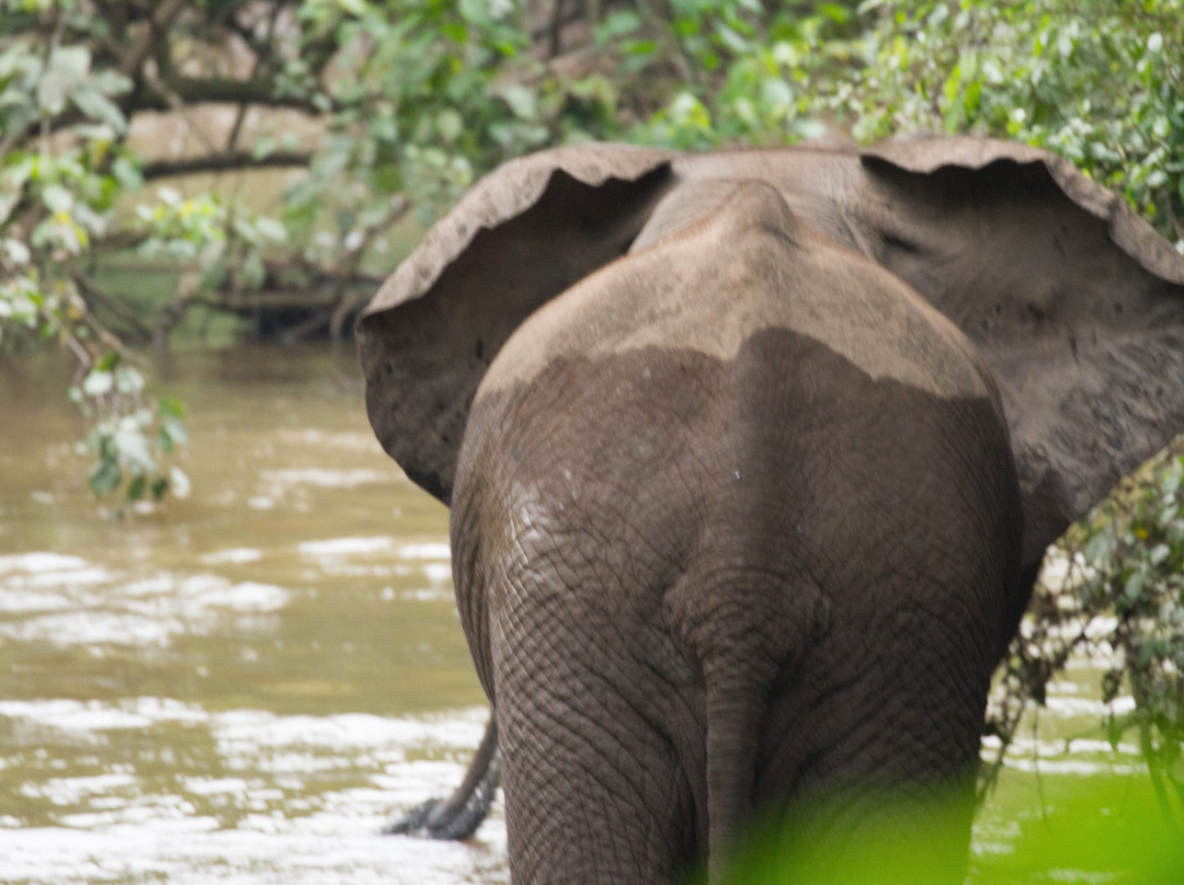 Kyambura Game Reserve (Kyambura Gorge)景点图片