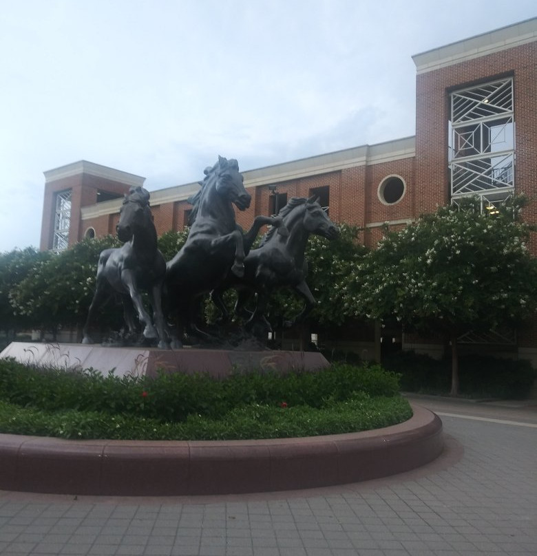 南方卫理公会大学-达拉斯必去景点