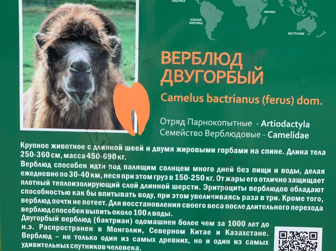 Chelyabinsk Zoo-车里雅宾斯克必去景点