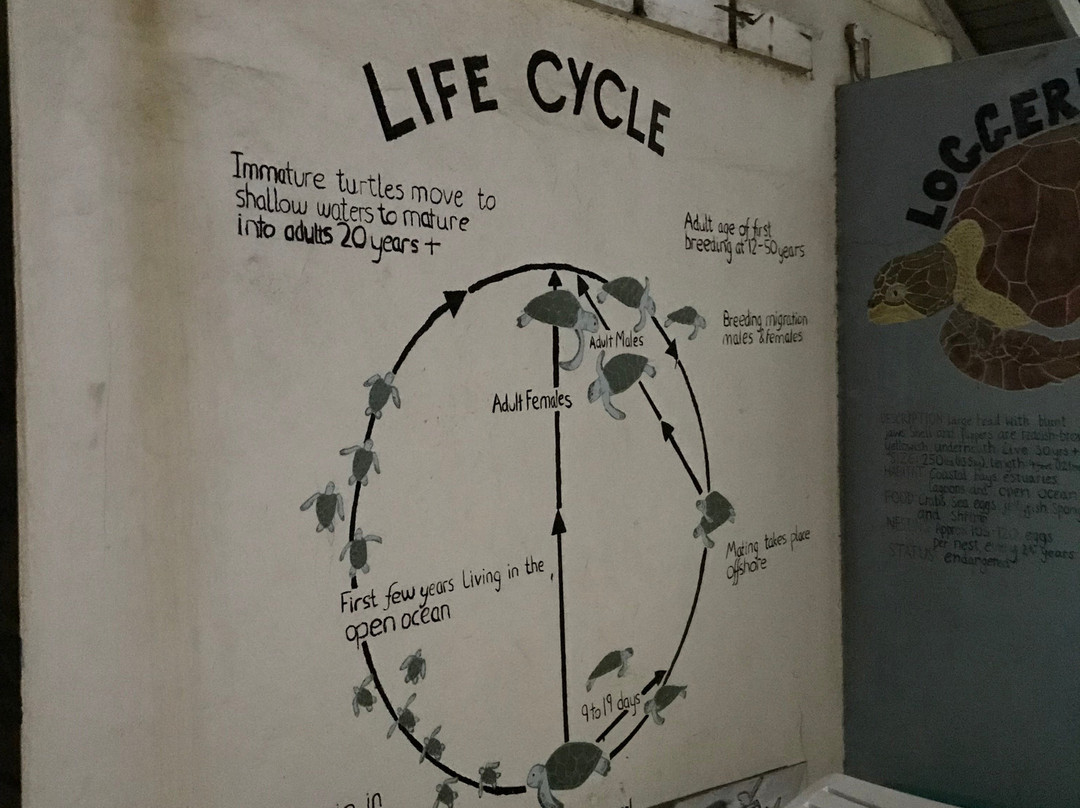 SPECTO-圣派屈克必去景点