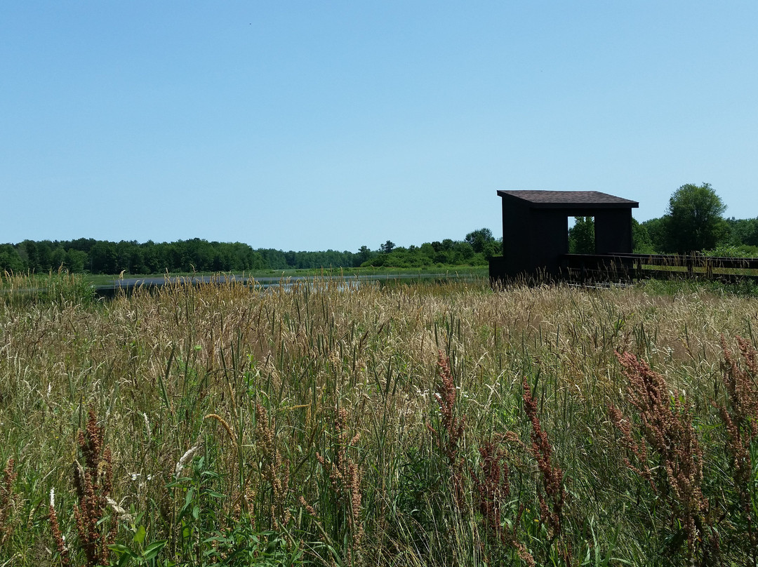 Three Rivers Wildlife Management Area-Baldwinsville必去景点