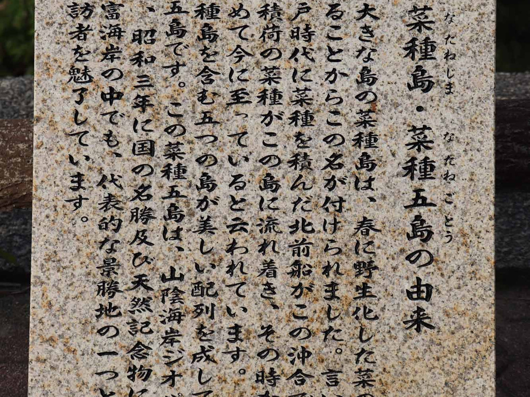 Natanejima Island景点图片