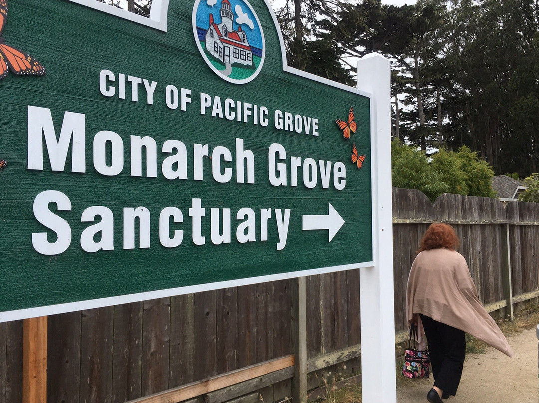Monarch Grove Sanctuary景点图片