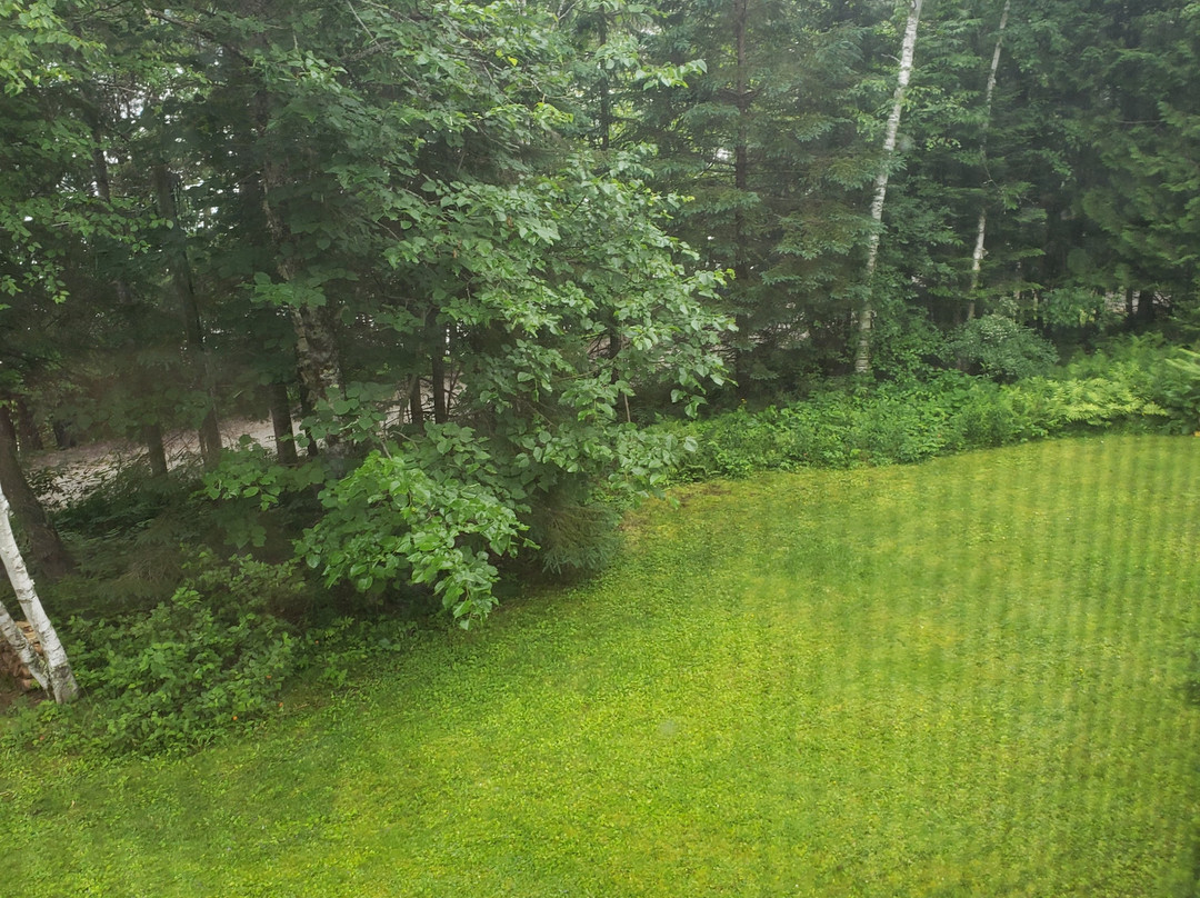 B&B LES DAMES DU LAC主图