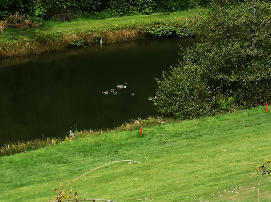 Cwmrhydneuadd golf club景点图片