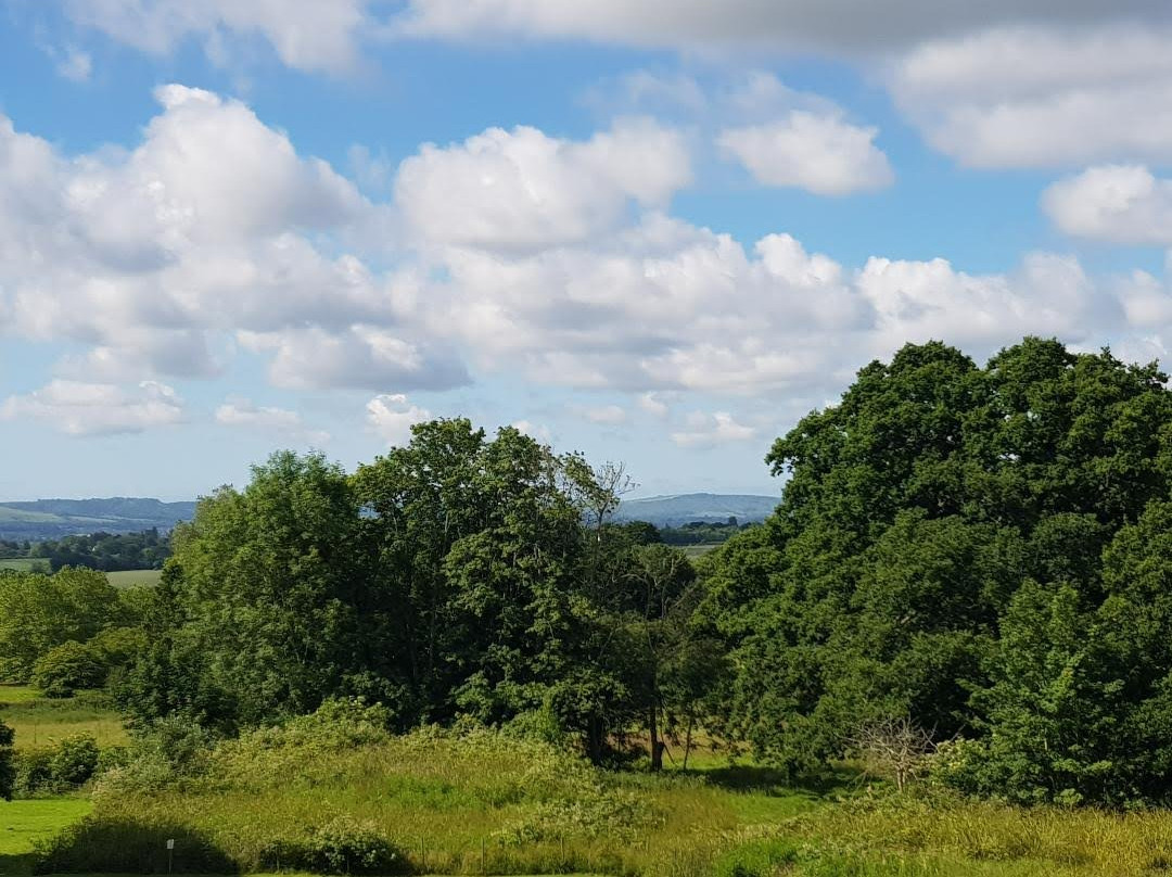 Ockenden Manor Hotel & Spa主图