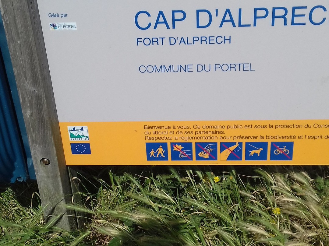 Fort d'Alprech景点图片