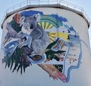 Narrandera Water Tower Art景点图片