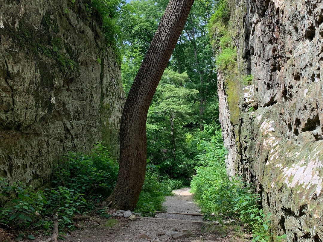 Giant City State Park景点图片