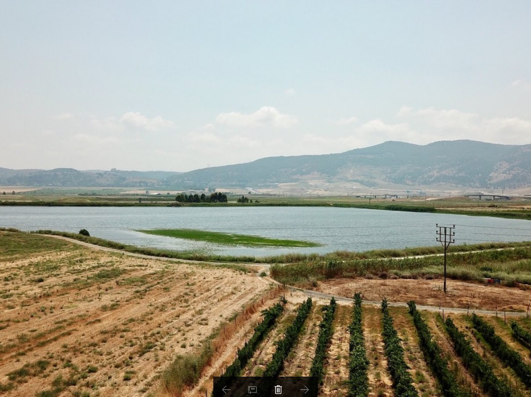 Sadot Winery-Sde Ya'akov必去景点