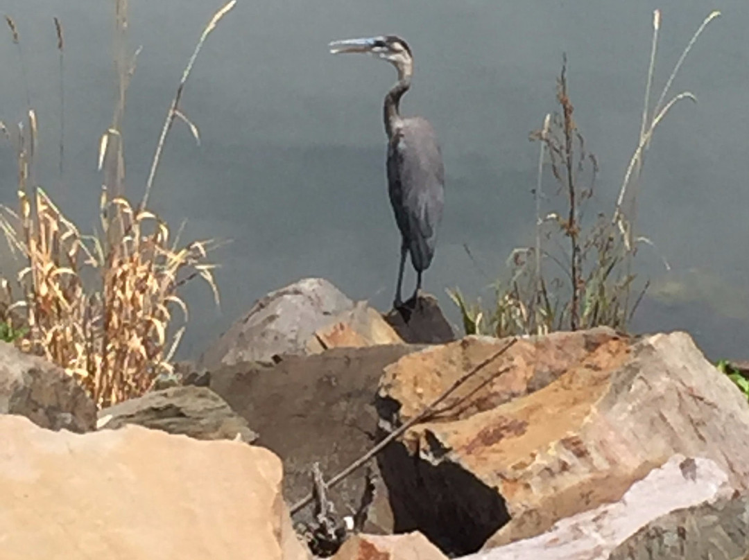 Core Creek Park景点图片