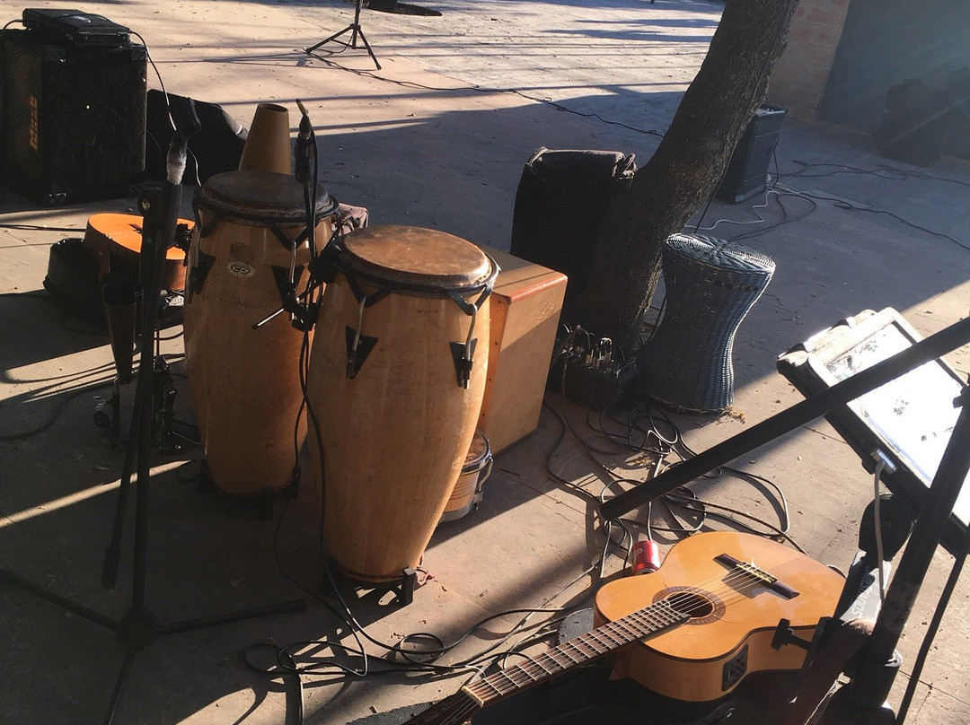 Flamenco Abierto景点图片