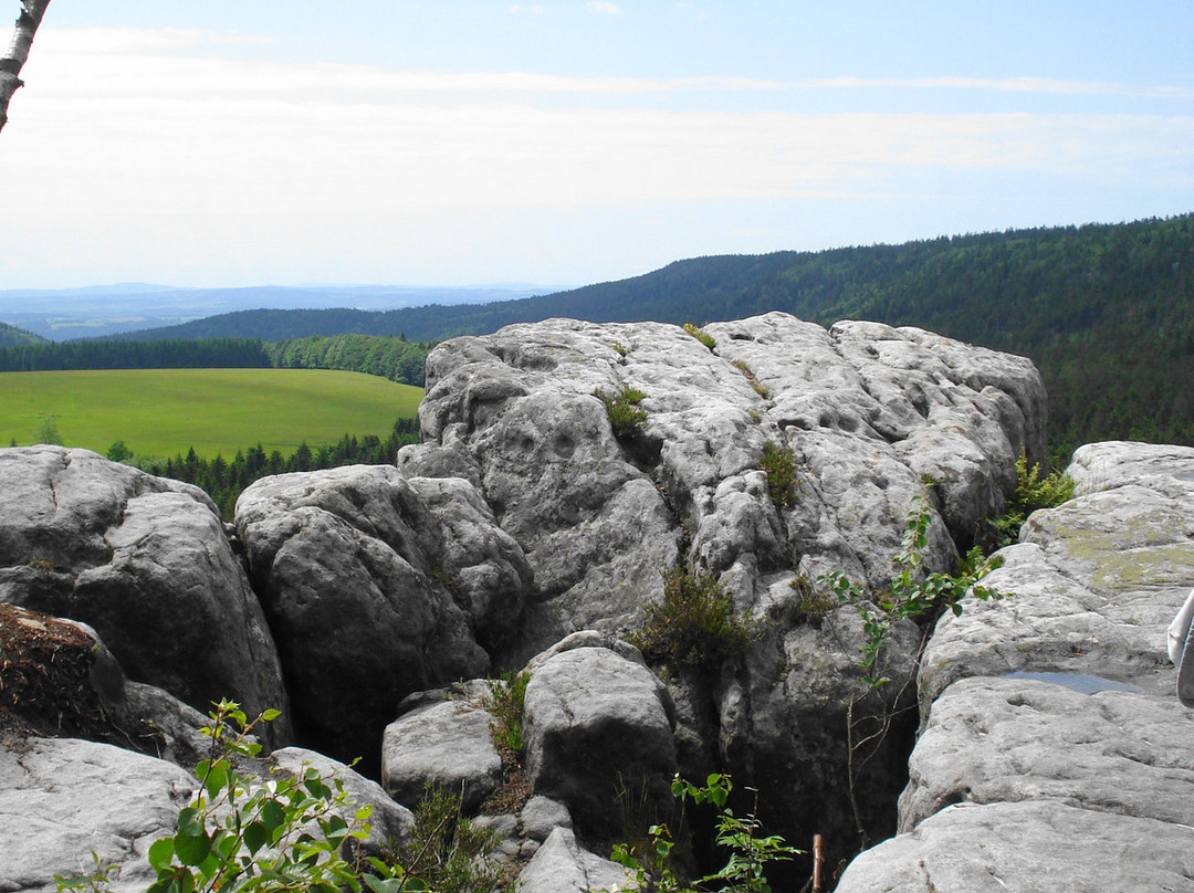 Stolowe Mountain National Park景点图片