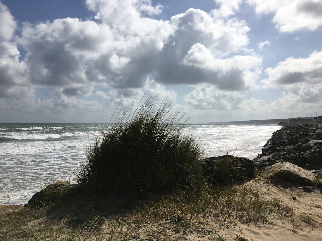 D Day Landing Tours景点图片