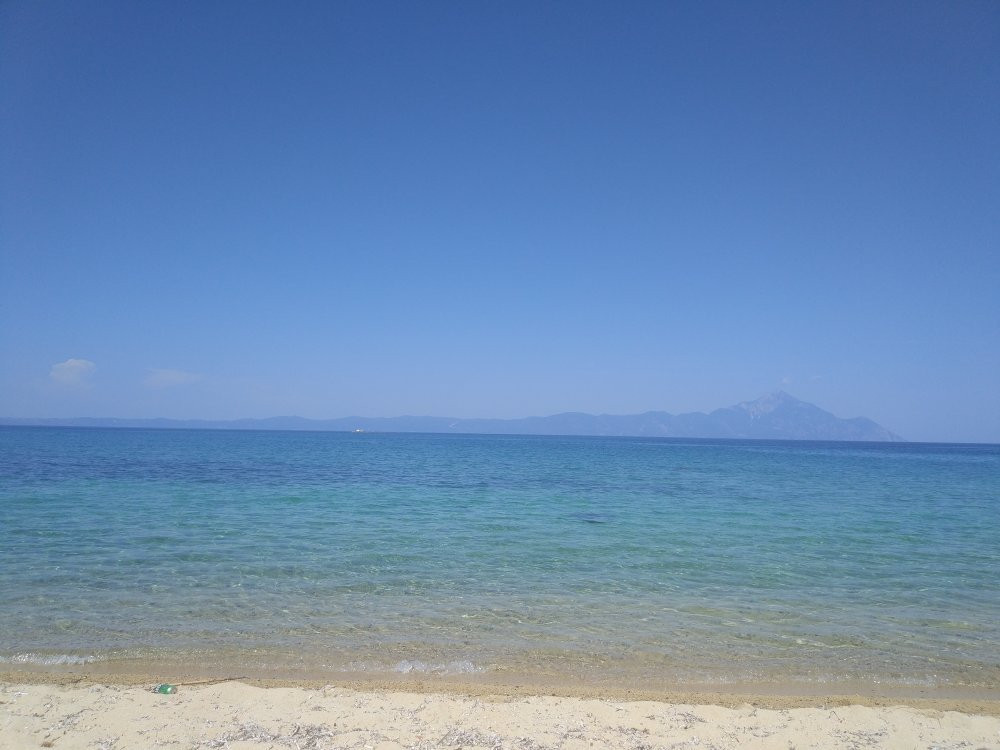 Platania House主图