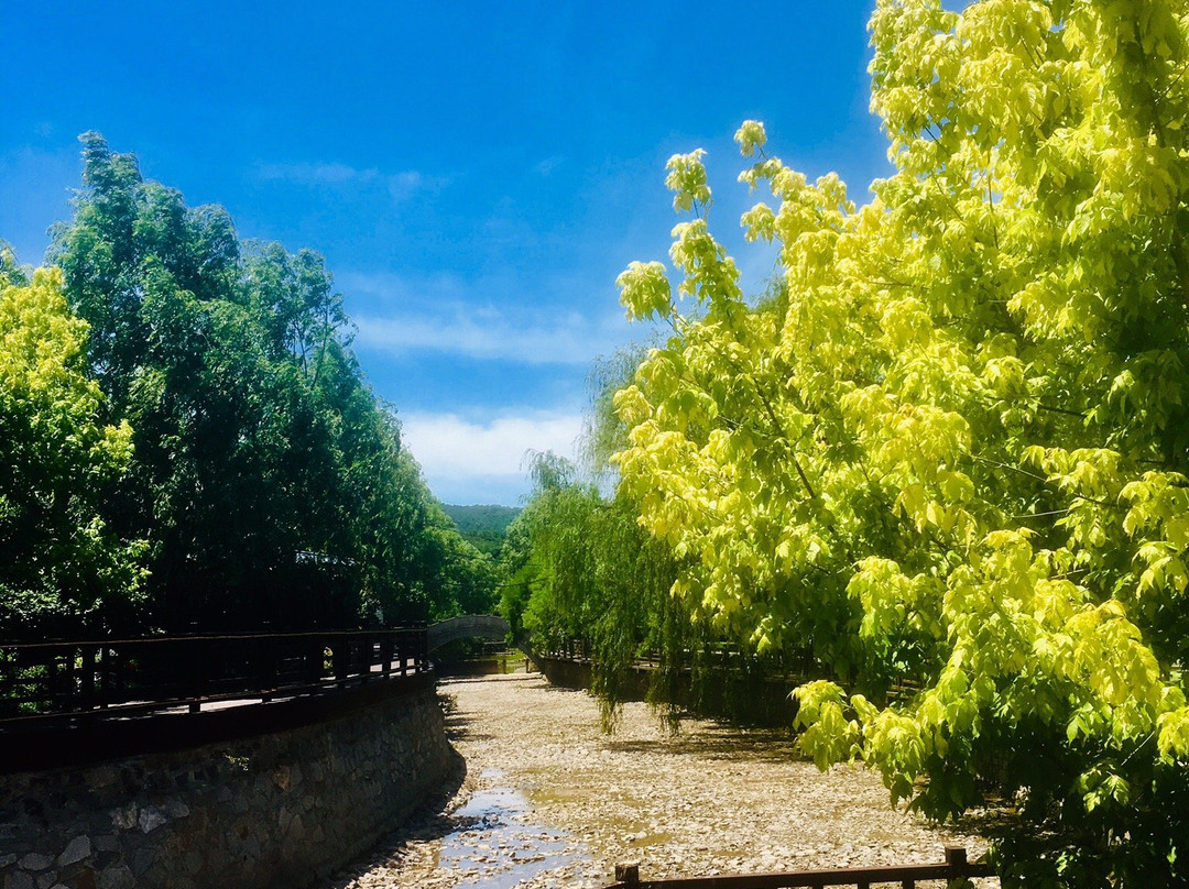 大连小黑山-大连市必去景点