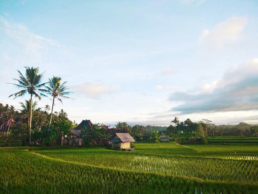 Subak Pulagan-坦帕克西林必去景点