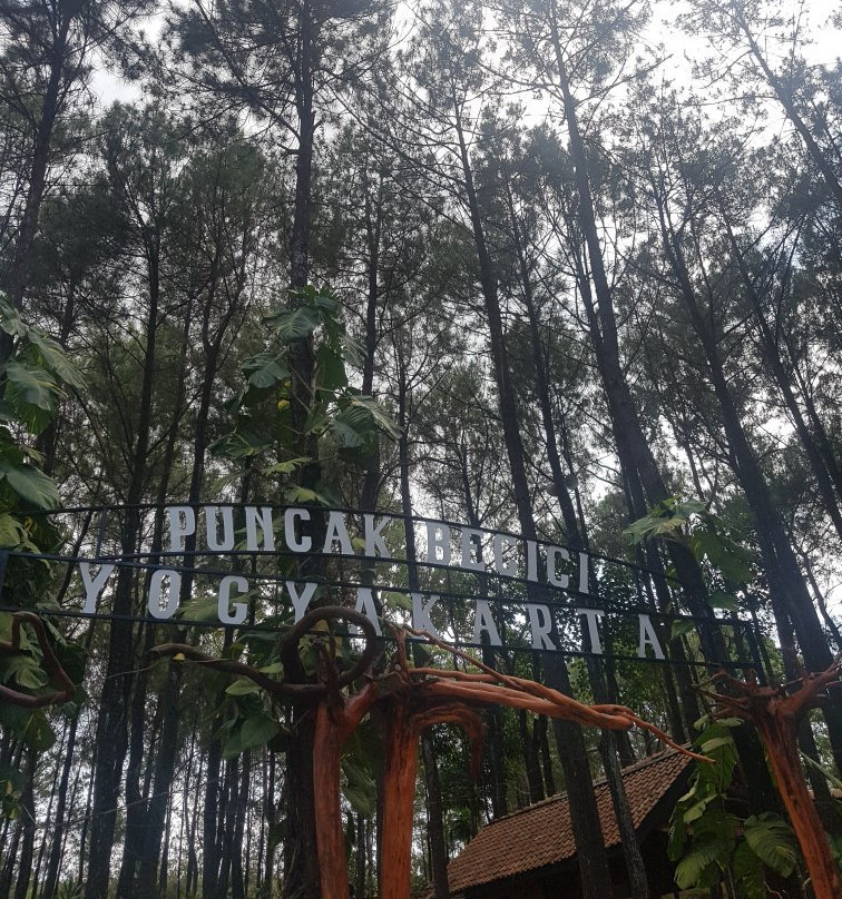 Becici Pine Peak-Muntuk必去景点