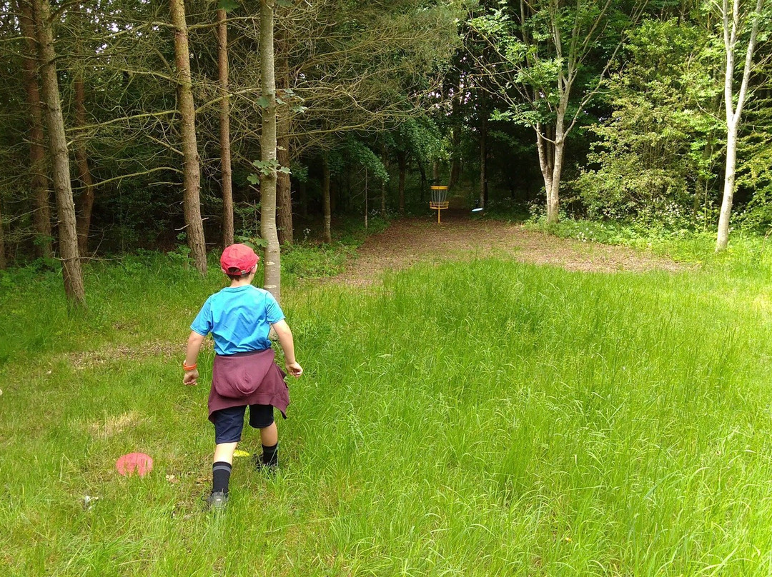 Disc Golf Course景点图片