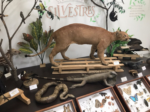 Museu Histórico de Itapira-Itapira必去景点