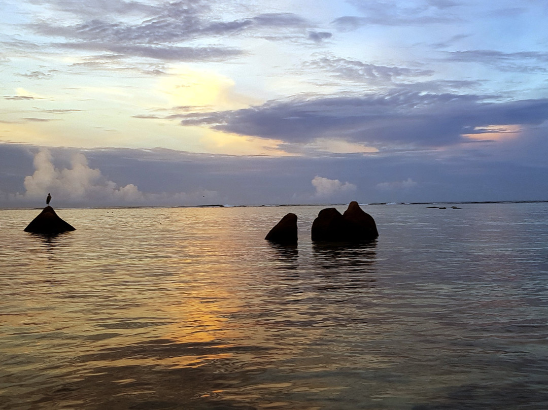 塞舌尔皇冠海滩酒店主图