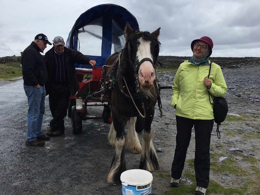 Galway Tour Company-都柏林必去景点