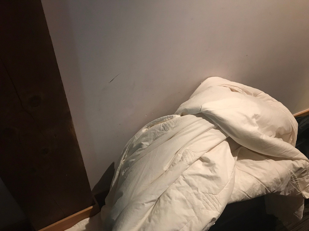 多拉雷亚酒店主图