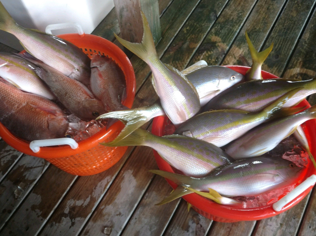 Offshore Boca Grande-Placida必去景点