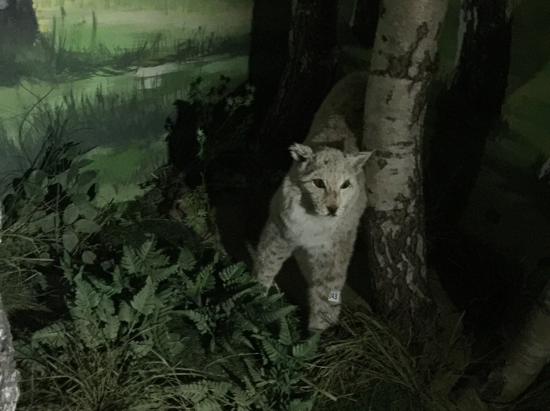 Museum of Nature-Borovoe必去景点