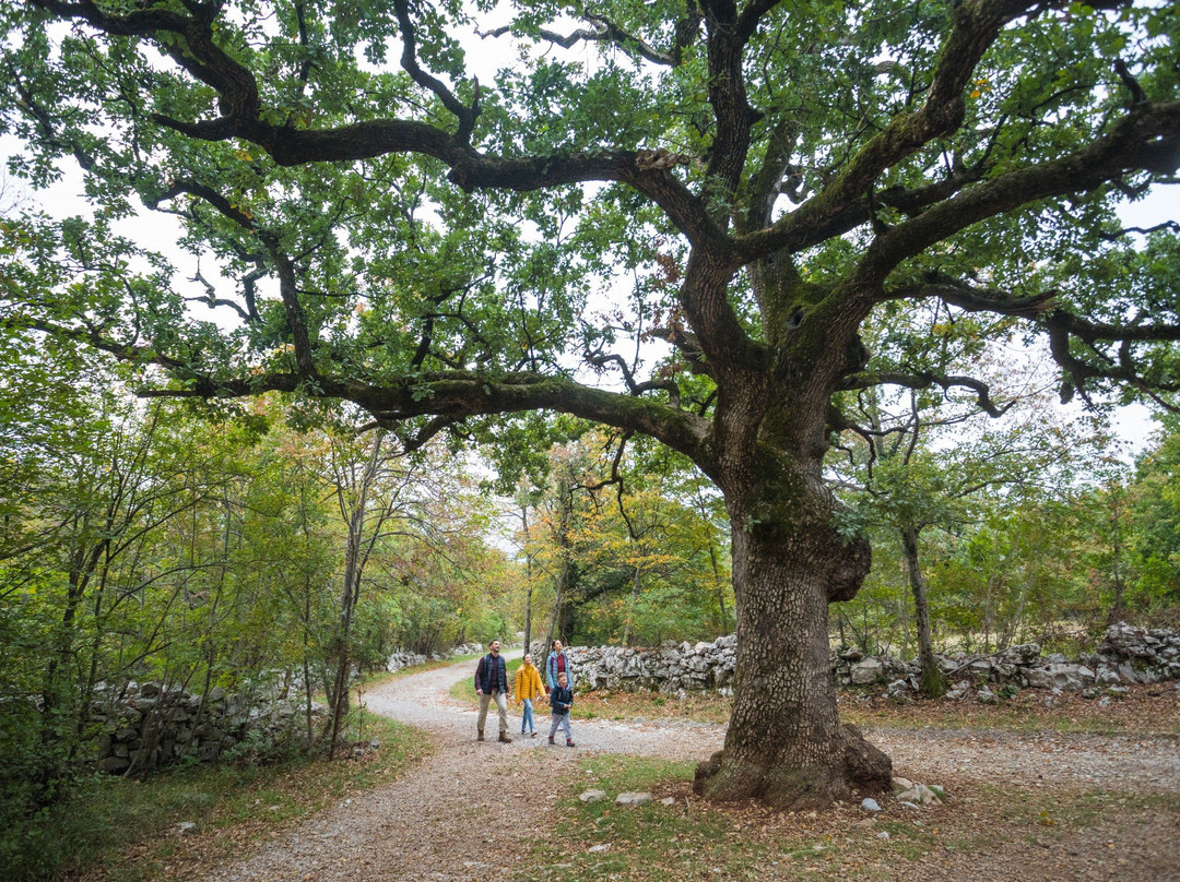 Karst Living Museum-Sezana必去景点