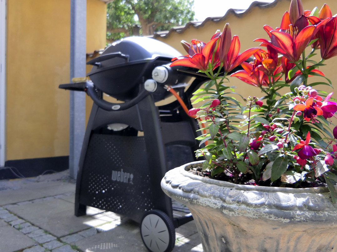 Dragoer Hotel & holiday apartments主图