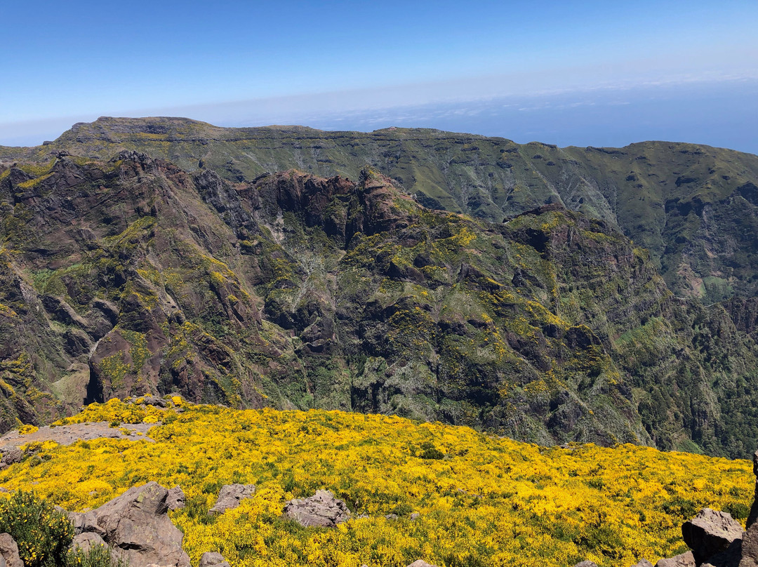 Madeira with Linda景点图片
