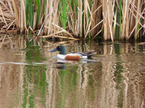 Kinbrook Island Provincial Park-艾伯塔必去景点