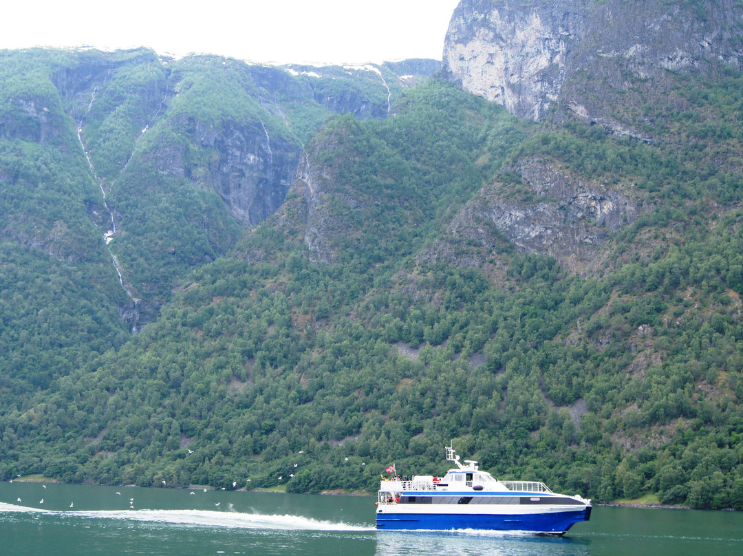 Norwegian Fjord Voyage AS-Gudvangen必去景点
