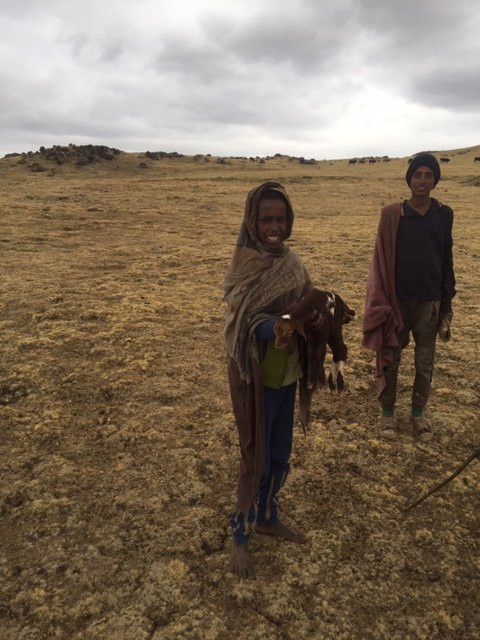 Ethiopian High Land Tours-贡德尔必去景点