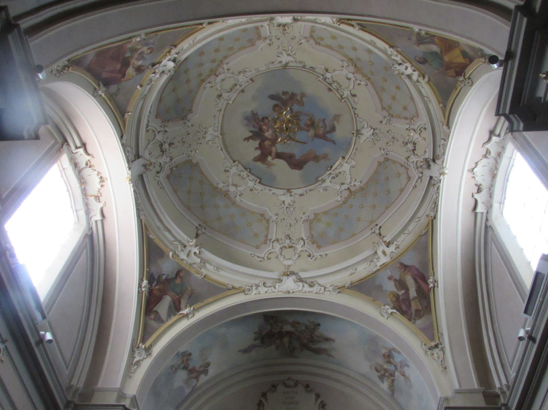 Chiesa di S. Vincenzo景点图片